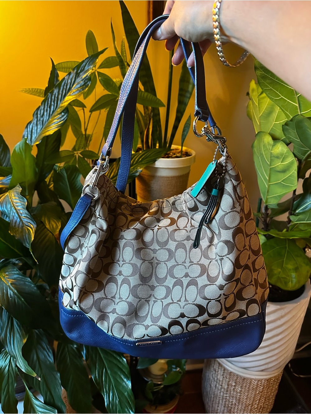 Authentic Coach Signature Canvas Hobo Bag in Brown with Blue Trim